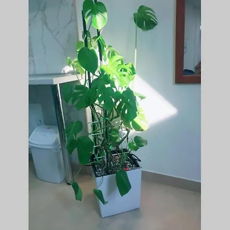 Apartman Santorini Novi Sad Esterno foto